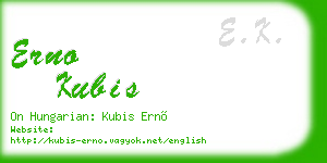 erno kubis business card